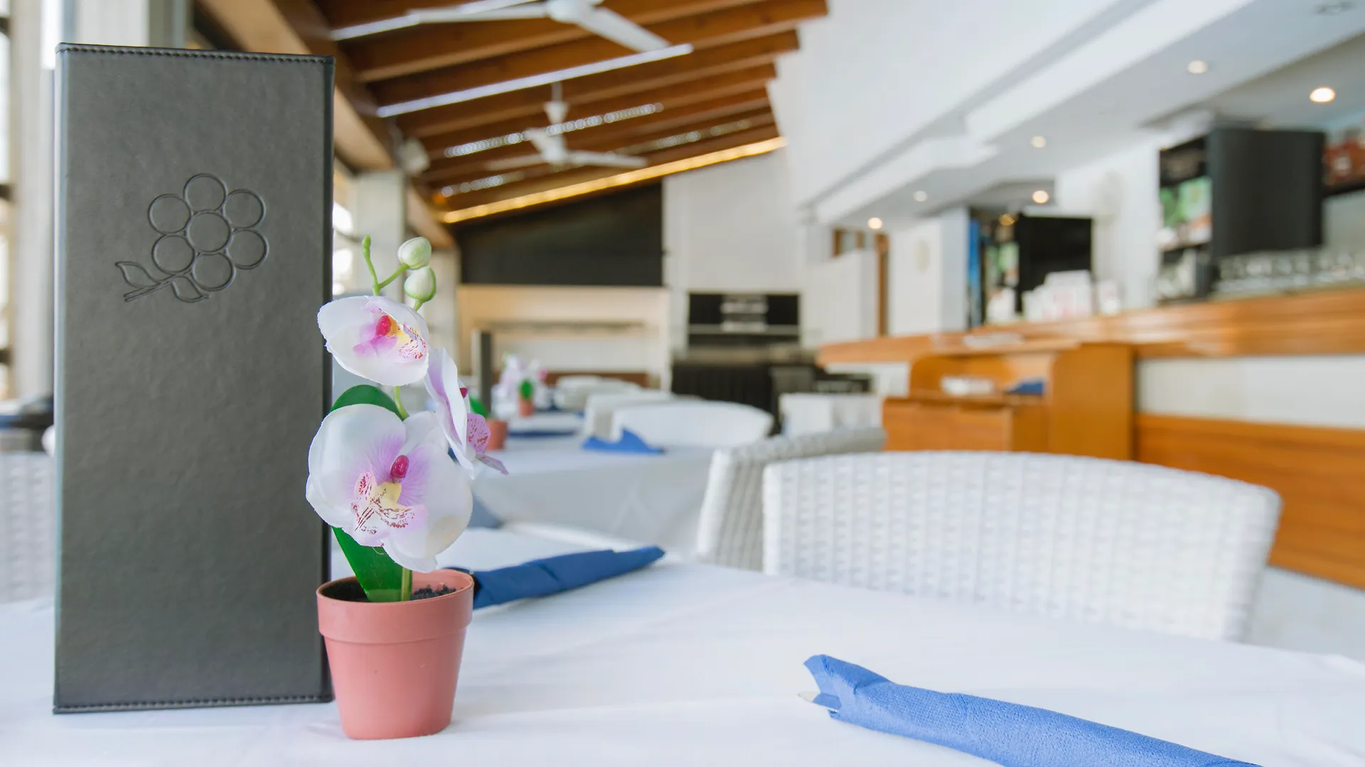 Aparthotel Flora ポルト・ダ・ポリェンサ